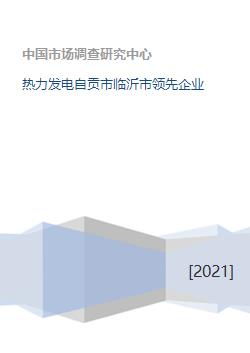 熱力發(fā)電自貢市臨沂市領先企業(yè)
