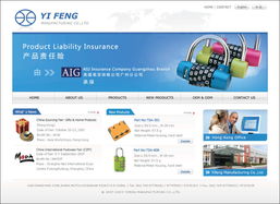 網(wǎng)站設計與軟件開發(fā) 雙翼齊飛，共創(chuàng)數(shù)字未來